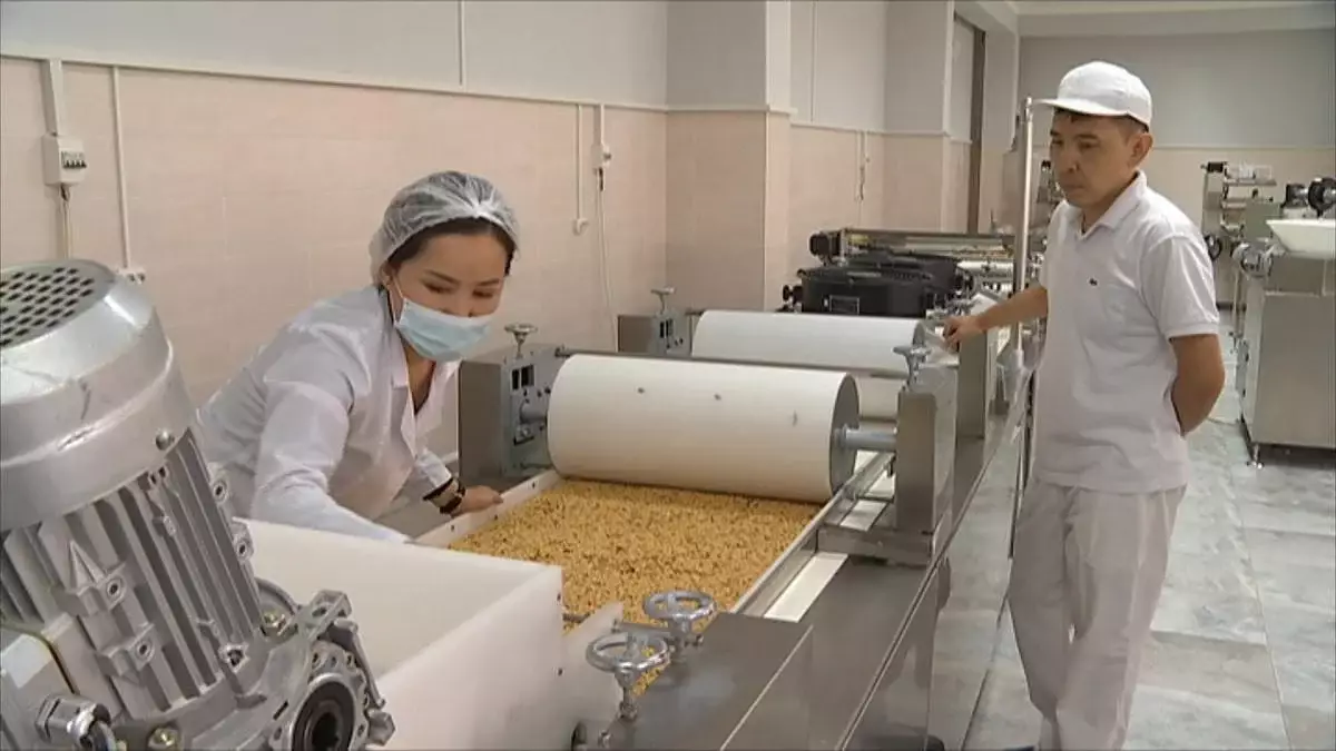 В Индустриальной зоне Алматы будет запущено новое производство строительных материалов