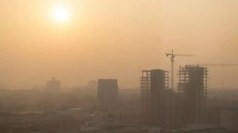 Десятки крупнейших предприятий выселят в Узбекистане