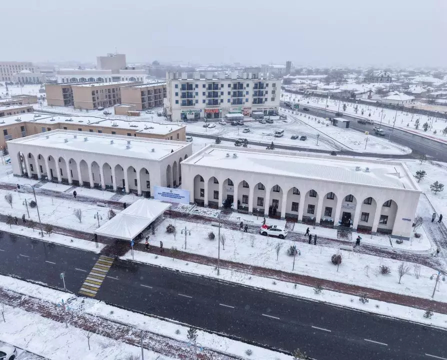 Түркістанда Ислам институты ашылды