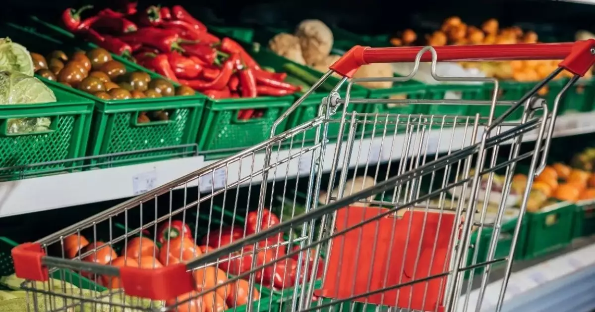  Қазақстанда қияр, ірімшік пен сүт арзандады – Үкімет 