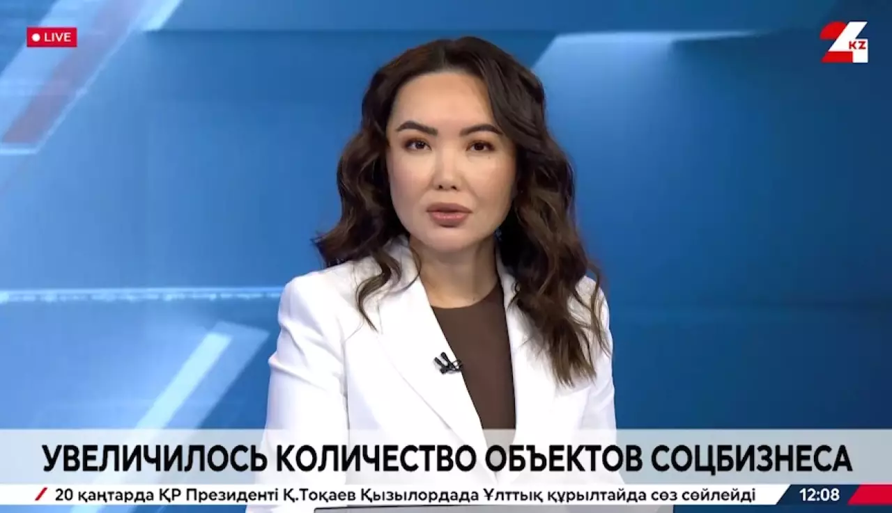 В Казахстане увеличилось количество объектов соцбизнеса