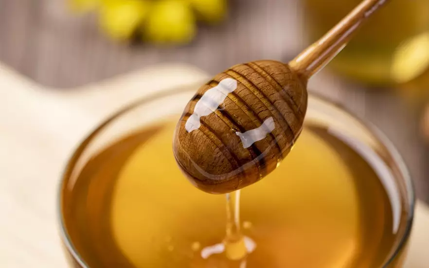 Незаконную попытку транзита меда пресекли в Жамбылской области