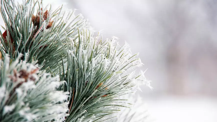 Елімізде алдағы күндері 38 градус аяз болады