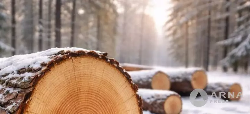 Нарушения в сфере землепользования и охраны леса выявили в области Абай