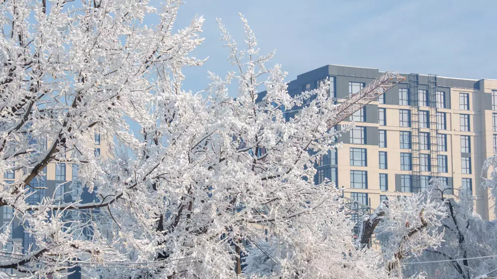 Астана в снежном циклонe, Алматы в тумане: погода на 20-22 января