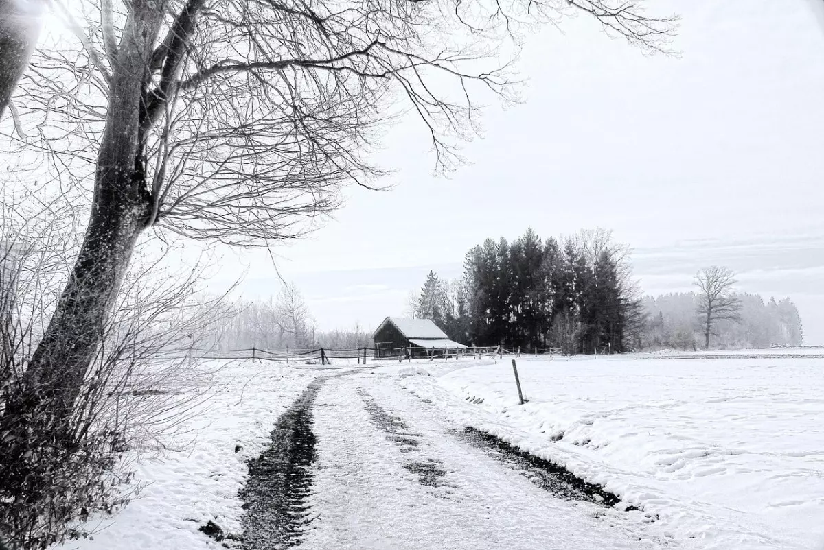 Синоптики прогнозируют сильный мороз и снег по Казахстану на ближайшие дни