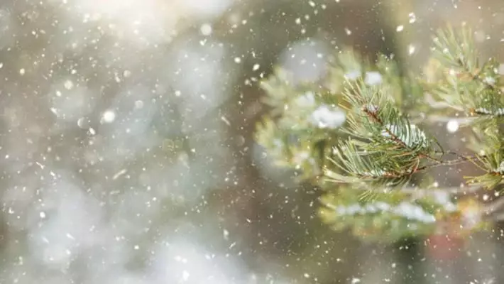 В Узбекистане ожидаются осадки и понижение температуры до минус 13