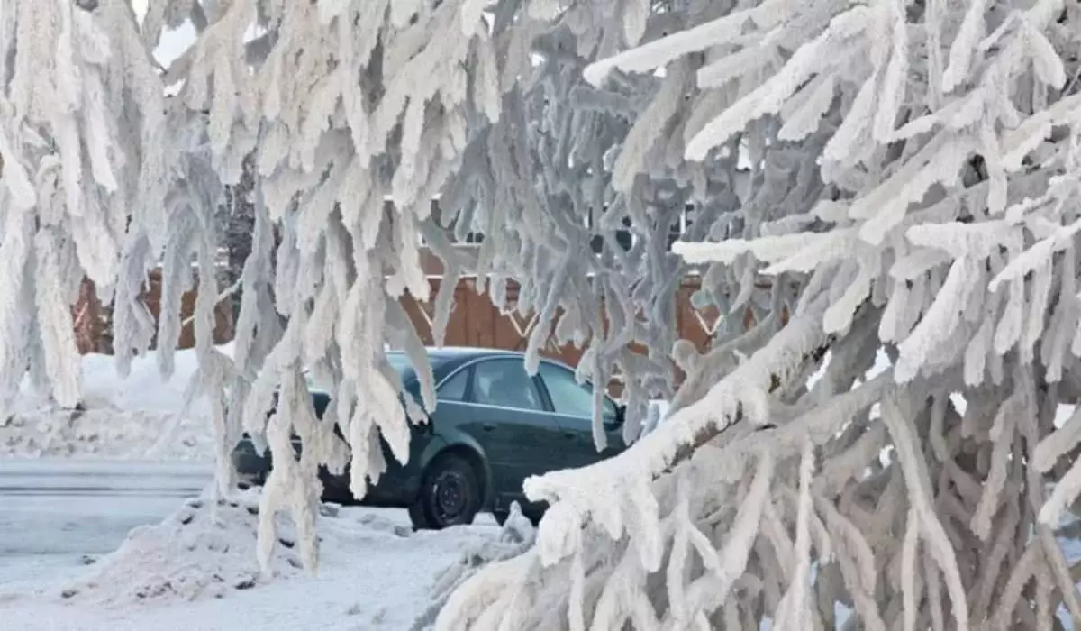 Прогноз погоды в Казахстане на 20–22 января: морозы до -38°C