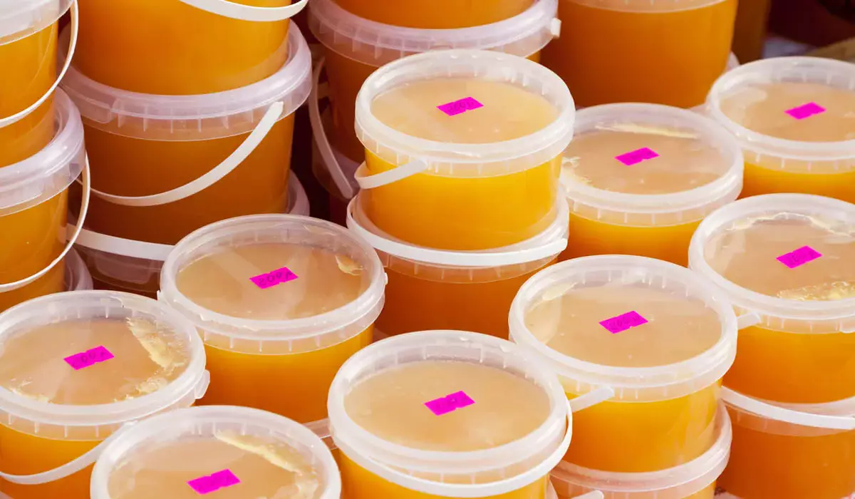 Кыргызстанец пытался незаконно провезти мед через Казахстан в Россию