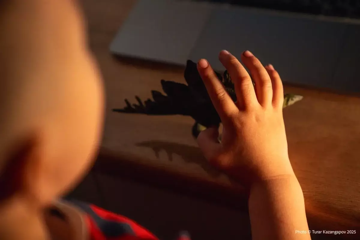 Жестокое обращение с детьми в Жетысу: что известно о состоянии здоровья ребенка