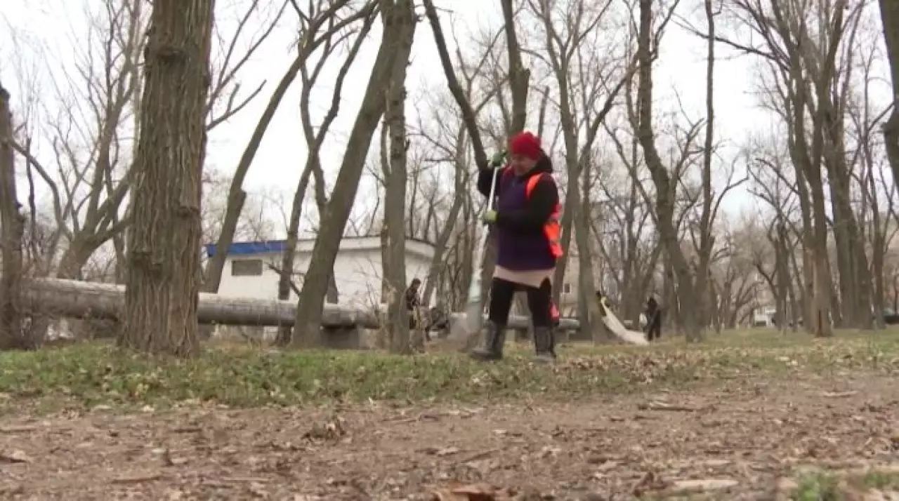 Эколагерь предлагают открыть активисты Жамбылской области