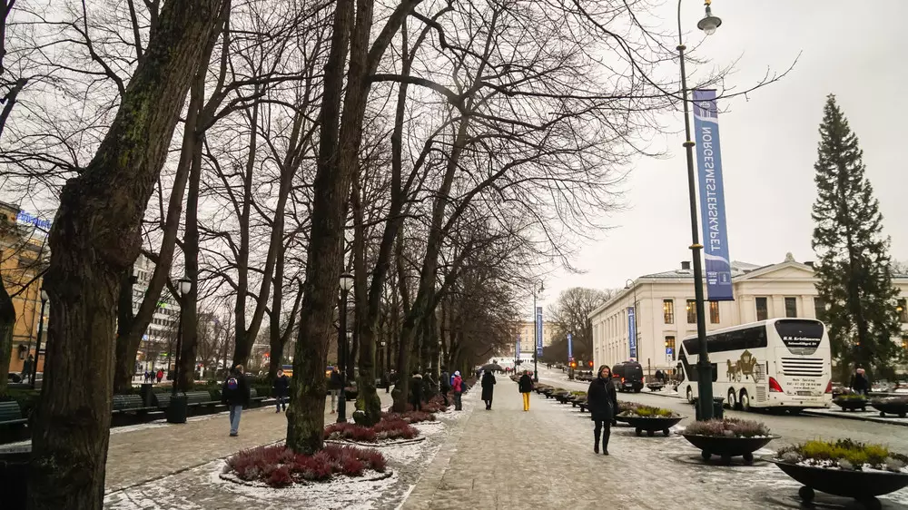 Жителей Норвегии предупредили о возможном изъятии имущества в случае войны