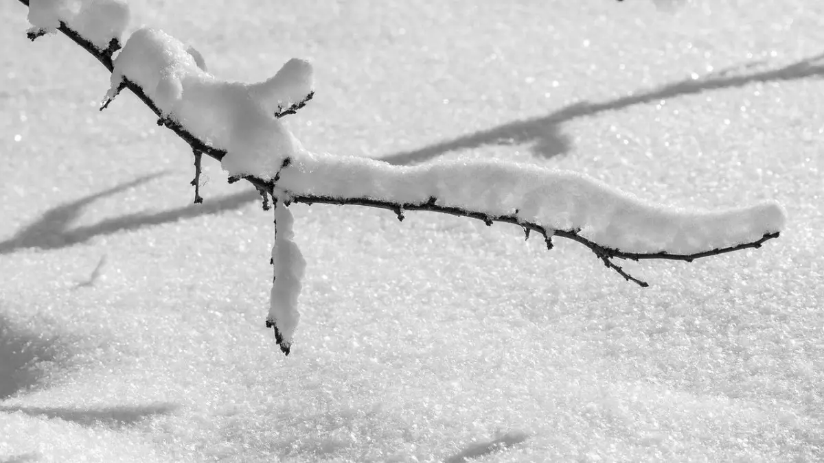 Қар, боран, аяз: бірнеше өңірде дауылды ескерту жарияланды