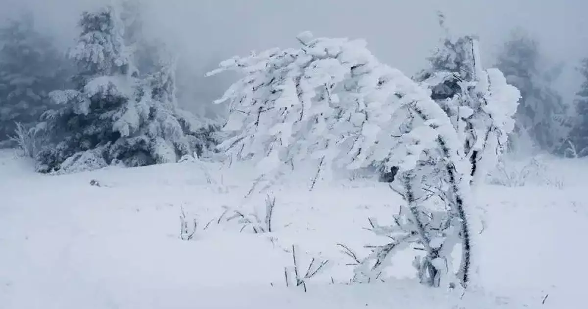  Қазақстанның бірнеше өңірінде -40°С-қа дейін аяз және боран күтіледі 