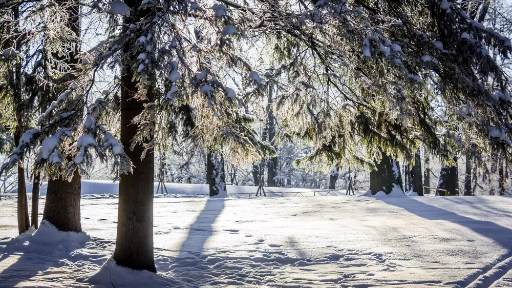 Морозы усилятся, пойдет снег. Прогноз погоды в Казахстане на вторник