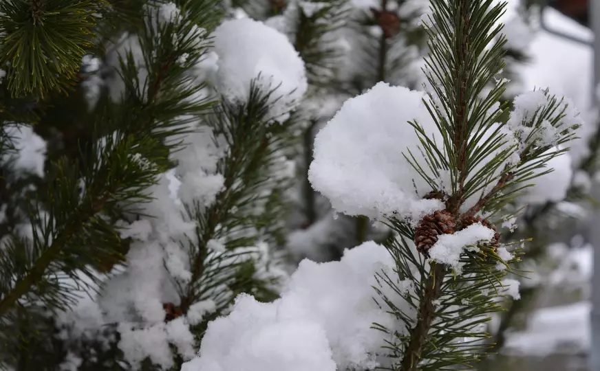 Снег ожидается во вторник на большей части Казахстана