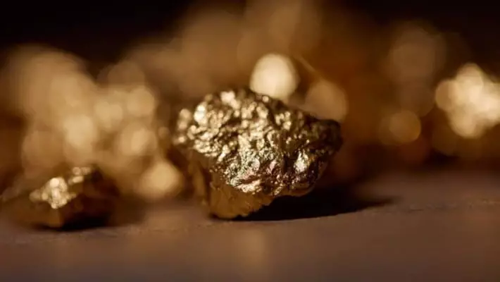 В Навоийской области накрыли крупную группировку черных старателей