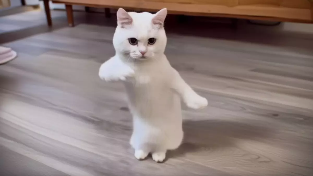 Как ИИ оживил танцующих котов и героев Гайдая