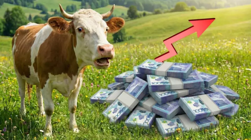 2 500 тенге за килограмм, или Почему льготные кредиты убивают мясной рынок в Казахстане