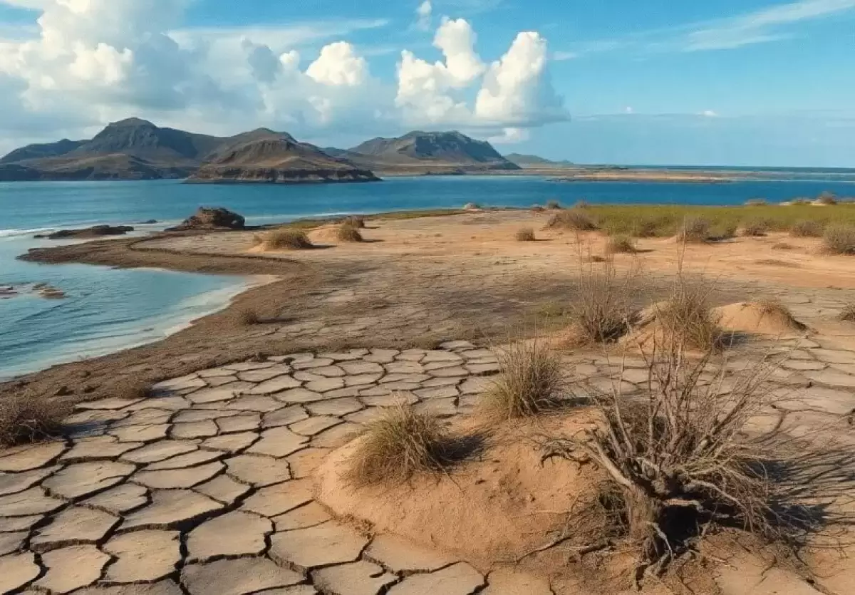 Тоқаев Арал мәселесін көтерді