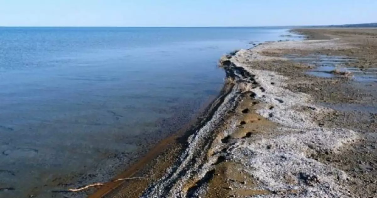   Президент: Аралды құтқару – барша адамзат үшін әлі де өте өзекті міндет   
