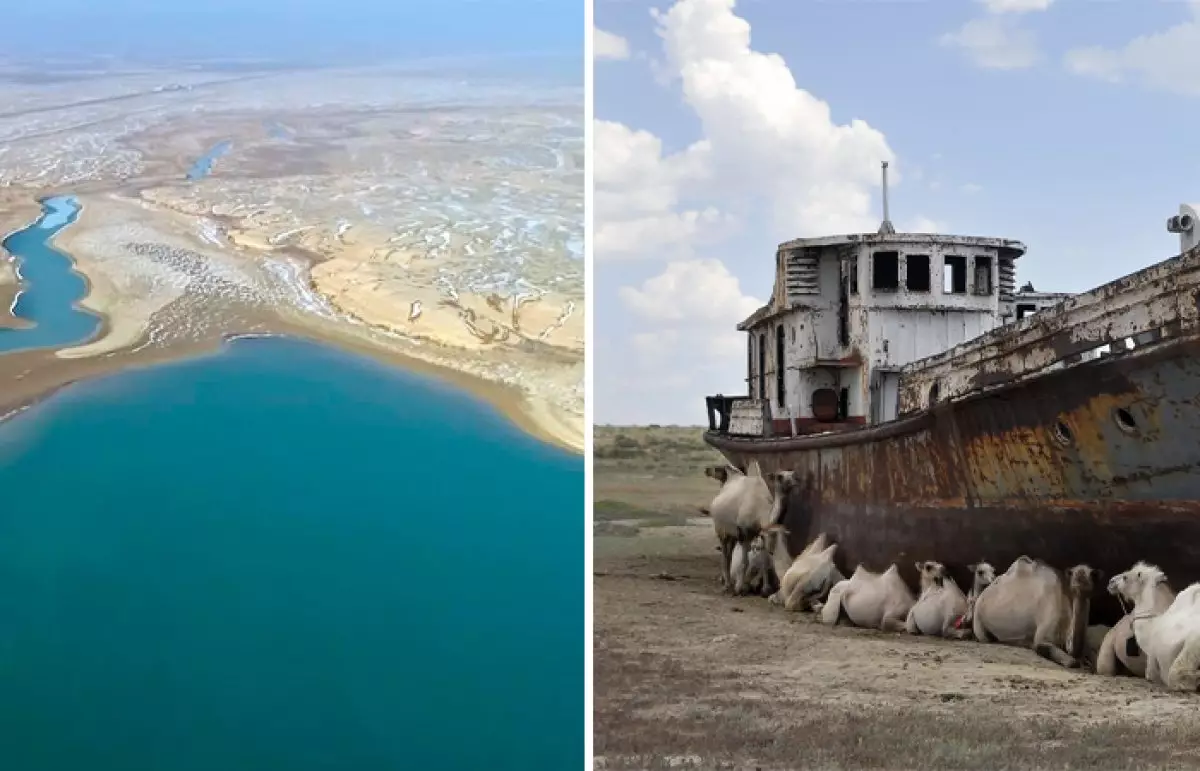 Ұлттық құрылтай: Қасым-Жомарт Тоқаев Арал мәселесін қозғады