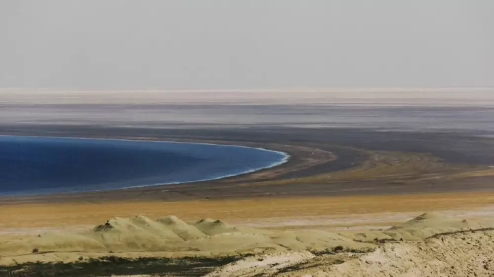 “Арал мәселесіне тоқталмай кету мүмкін емес“ - Тоқаев