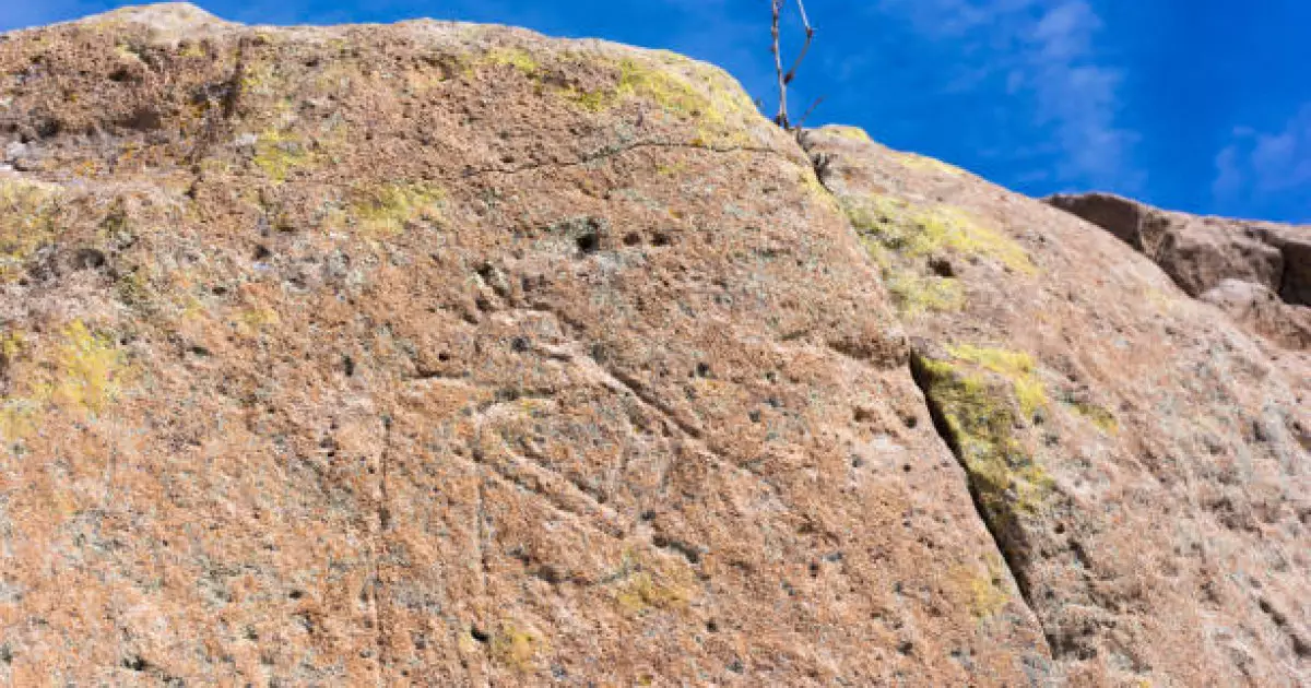   Қызылорда және Түркістан облыстарынан 17 мың петроглиф табылды   