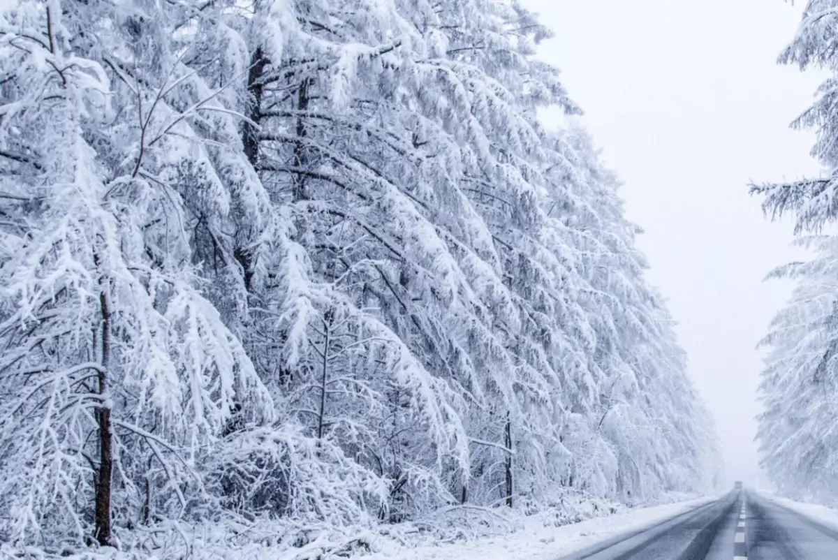 Осадки и похолодание ожидаются в мегаполисах Казахстана