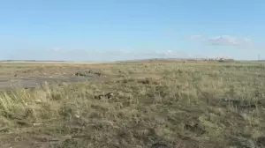 Абай облысында рұқсатсыз қоқыс орындары жойылды