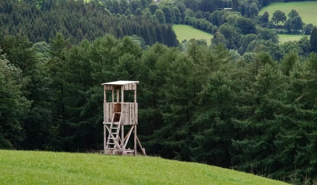 Часть земель лесного фонда изымут для нужд обороны в Казахстане