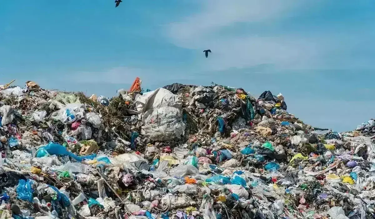 Абай облысында заңсыз пайда болған 191 қоқыс полигоны үшін әкімдер жаппай жазаланған