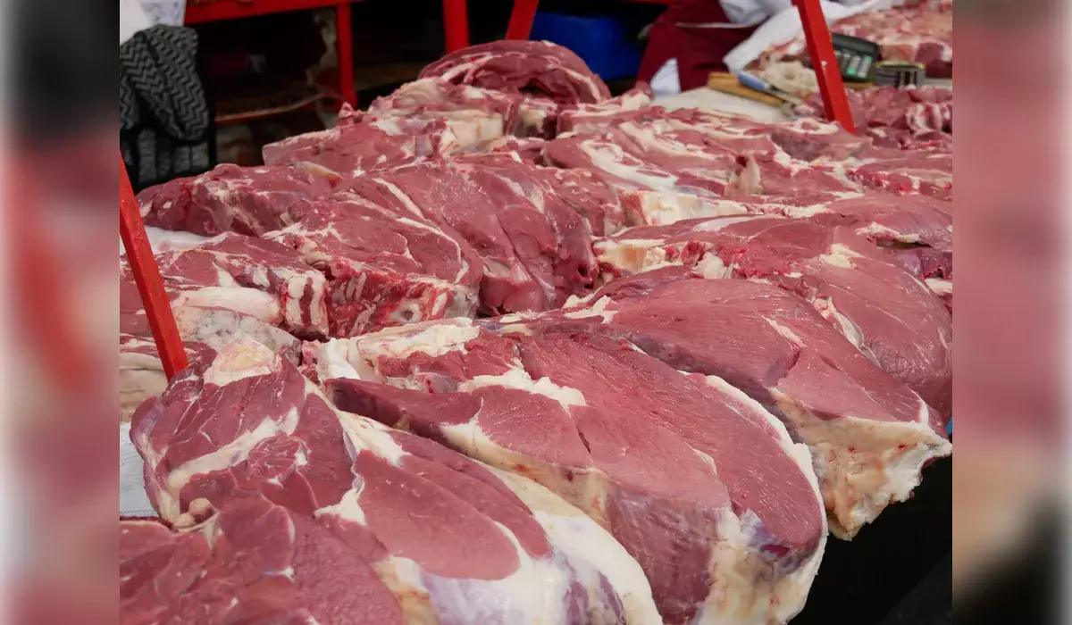 Импорт конины в Казахстан вырос в два раза