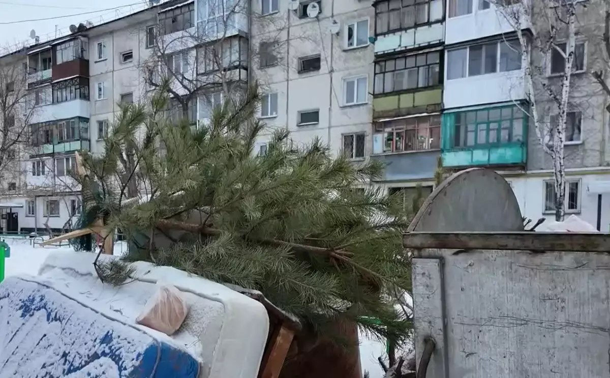 Как коммунальщики помогают диким животным в СКО