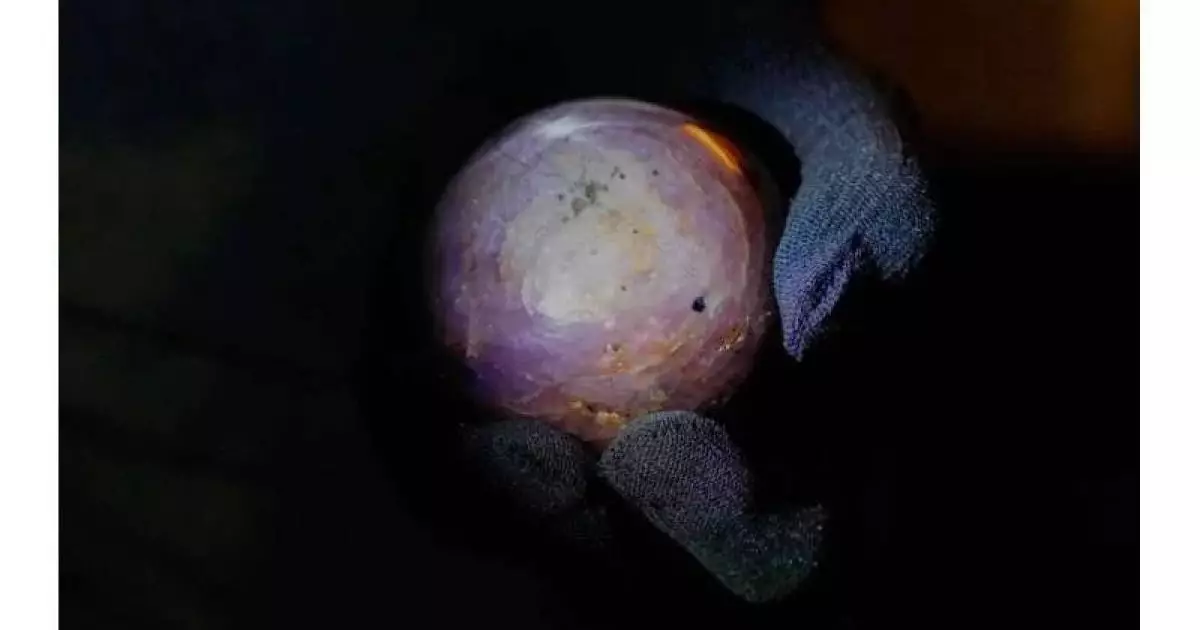  `Иелері сатуға дайын`: Шри-Ланкада әлемдегі ең үлкен сапфир таныстырылды 