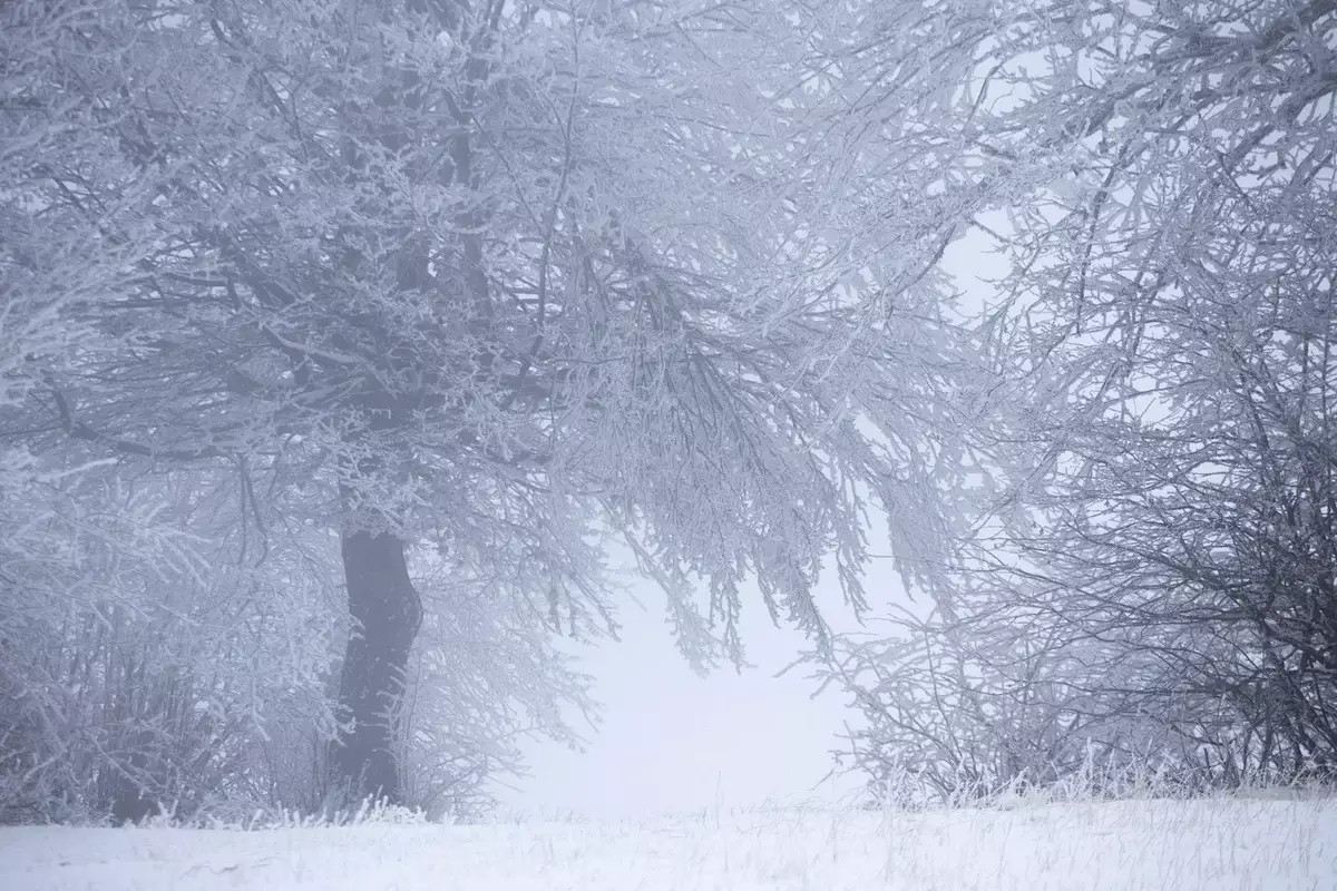 Туман и снег: штормовое предупреждение объявили на 21 января в Казахстане