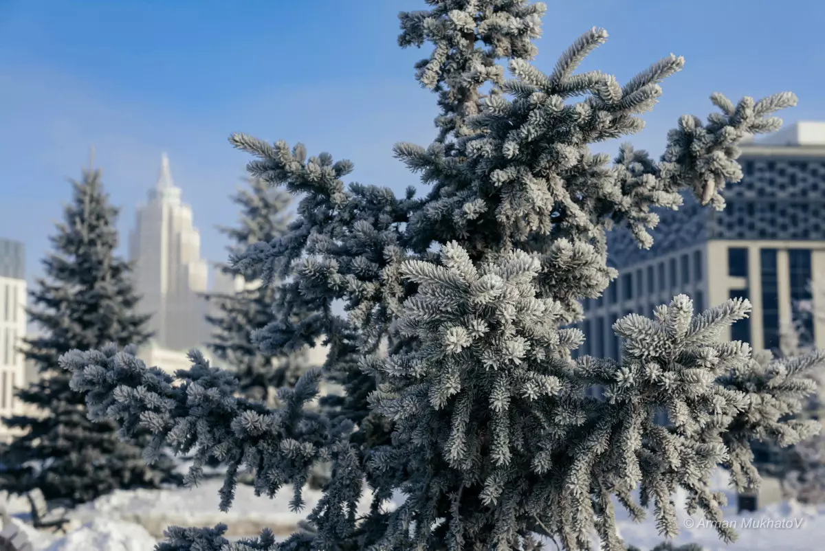 Туман и гололедица: в 14 областях Казахстана объявлено штормовое предупреждение