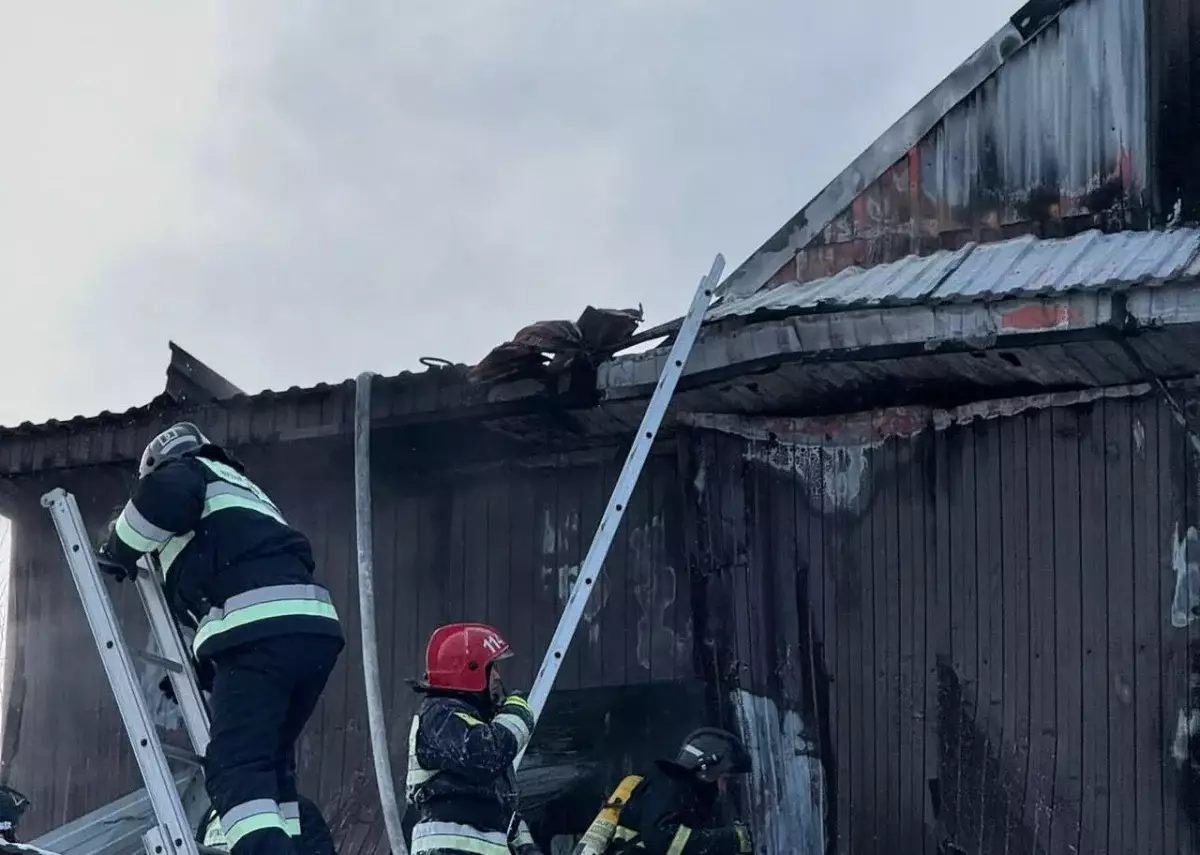 Петропавлдағы диірмен кешенінде өрт шықты