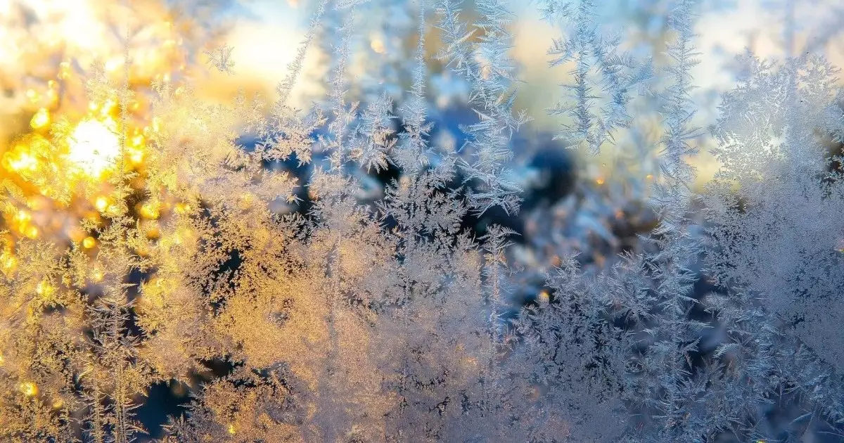  21 қаңтарда бірнеше өңірде ауа райына байланысты ескерту жасалды 