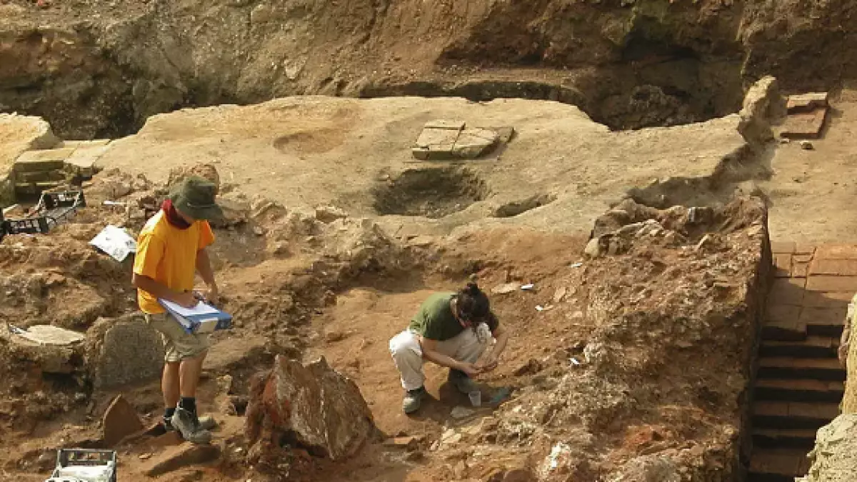 Палеонтологи обнаружили яйца динозавров возрастом 150 млн лет