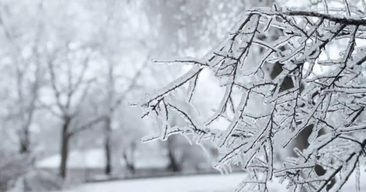  Қар, аяз: Қазгидромет ауа райына байланысты маңызды ескерту жасады 