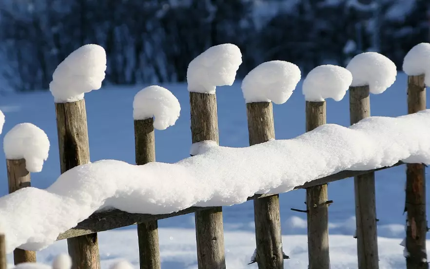 Осадки ожидаются в среду в Астане и Шымкенте, в Алматы без осадков
