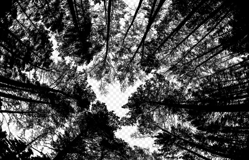 Экологтар еліміздегі ең лас қаланы анықтады