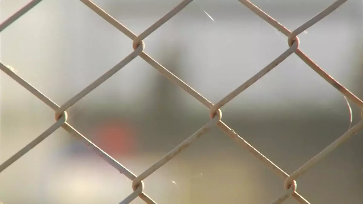 Қарағандыда халықаралық есірткі айналымын ұйымдастырған студент сотталды