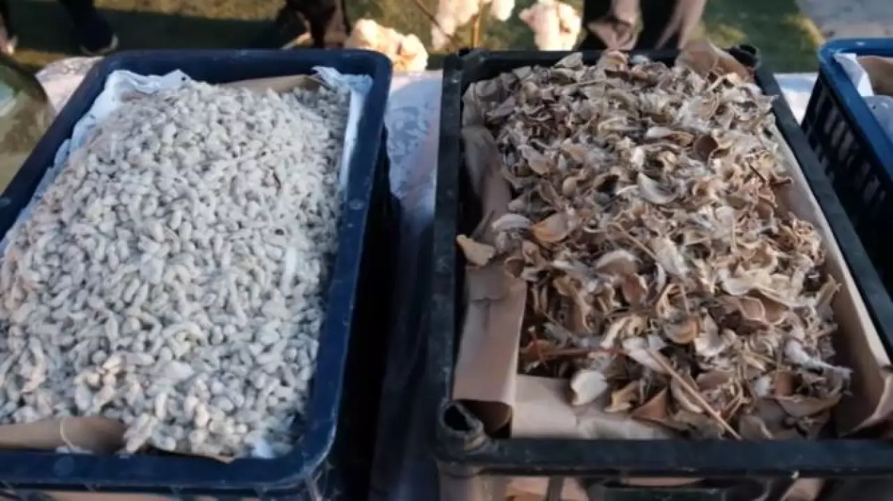 8 трлн тенге направят на поддержку реального сектора экономики