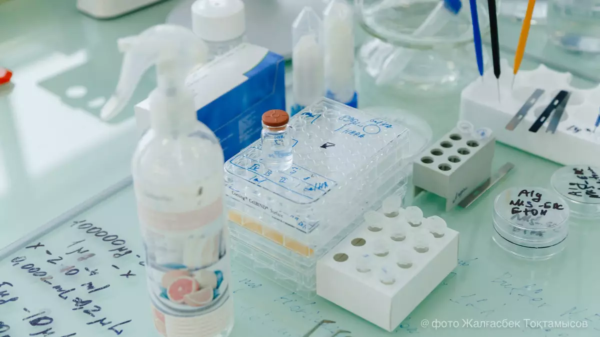 МӘМС-тегі былық: қорға қатысты тексеріс басталды, кімдер жазаланады?