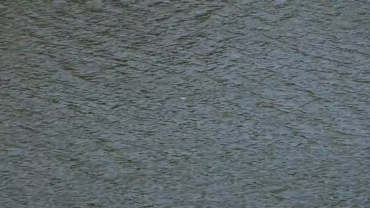 Президент тапсырмасы: Солтүстік Аралдың көлемін ұлғайту жоспарланып отыр