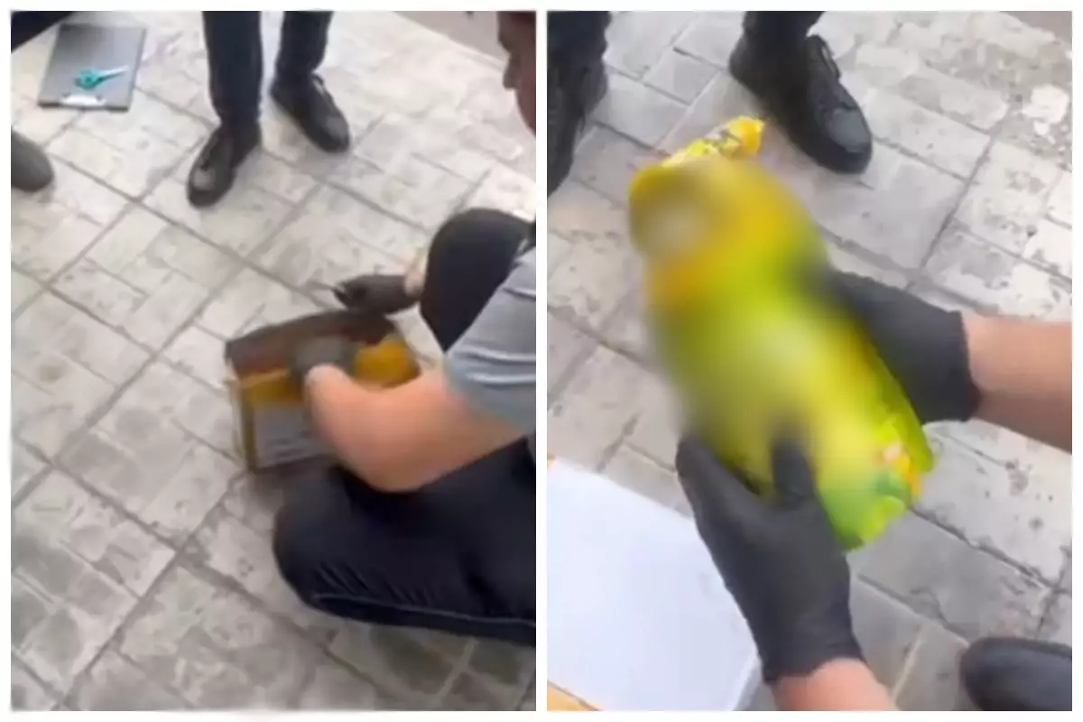 Есірткі тасымалдаумен айналысқан қазақстандық студент 15 жылға сотталды