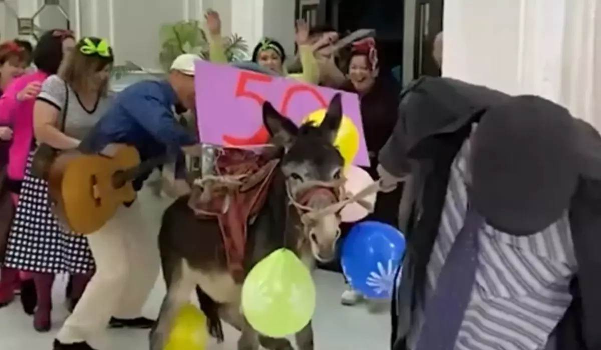 «Жабайылық қой мынау»: желіде мейрамханаға тойға есек алып келгендер сынға ұшырады