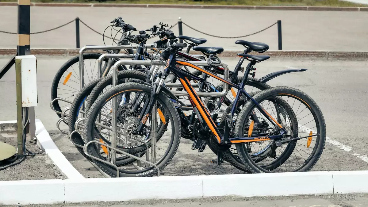 Қытайлық студент ересектерге велосипед тебуді үйретемін деп 39 мың доллар тапты